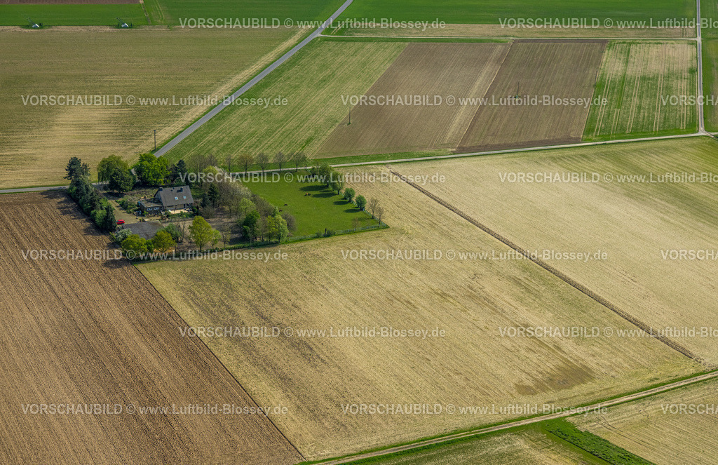 Wesel240402145RheinvorlandPerrich | Luftbild, Rheinvorland Perrich, Wiesen und Felder und Wohnhaus am Perricher Weg umgeben von Bäumen, Ginderich, Wesel, Niederrhein, Nordrhein-Westfalen, Deutschland