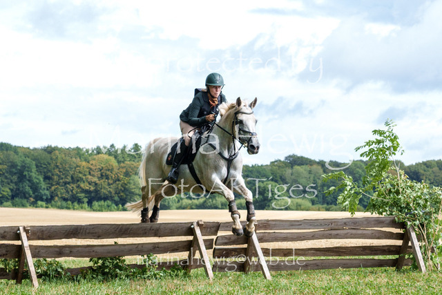 Jagd Knoop 26_MarinaHewigMCH02577 | Fotografie, FotoArt, PferdesportArt, Pferdesportfotografie, Landschaftsfotografie, Reisefotografie, Reise, Pferde - Realisiert mit Pictrs.com