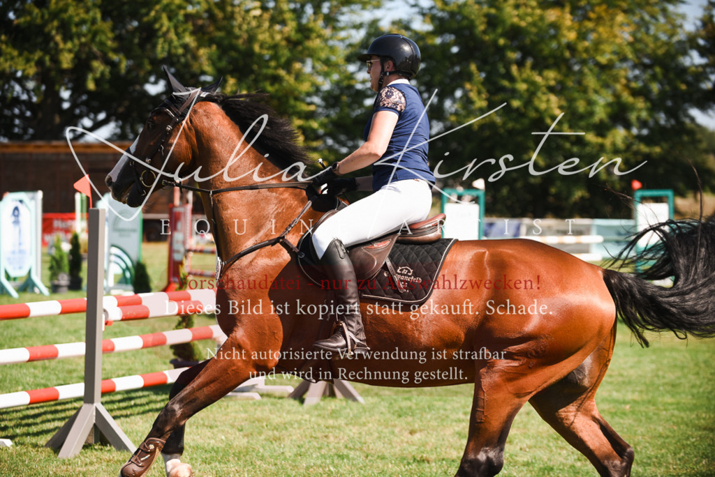 DSC_2790 | Pferde- und Turnierfotografie in Westsachsen. Pferdeportraits, Auftragszeichnungen und intuitive Kunst.