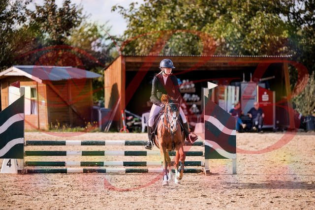 2026_10_03_Siefer-Hof_155806_Z81_77971863 | Professionelle Reitsport-, Turnier- und Eventfotografie von Robert Broda. Galerien mit ausgewählten und bearbeiteten Bildern direkt online ansehen und bestellen.