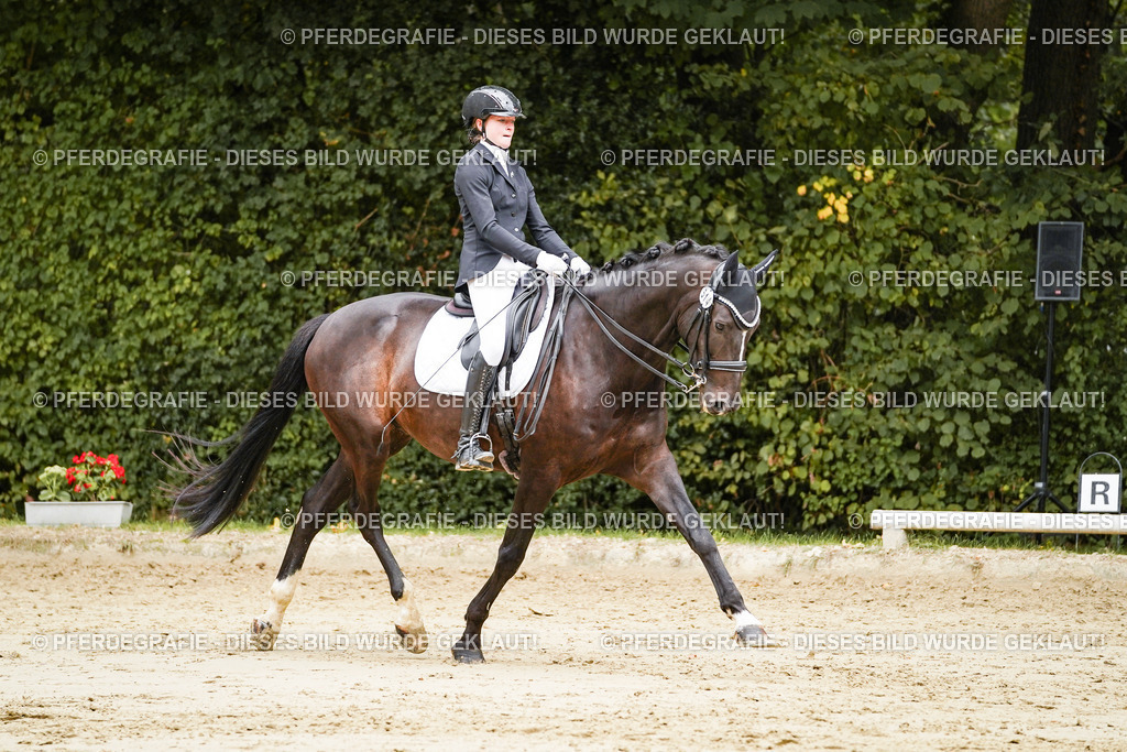 DSC03891 | Pferdegrafie