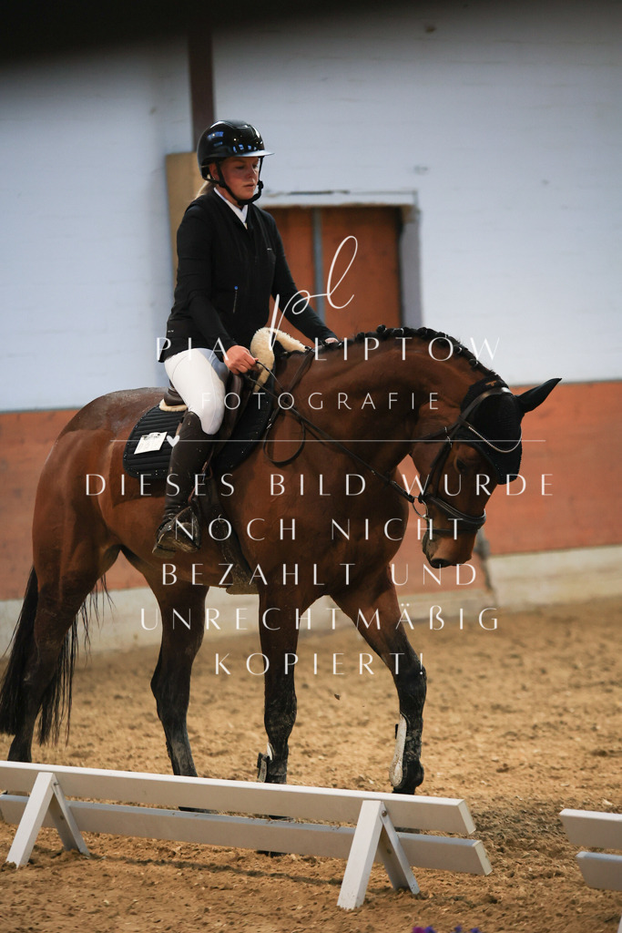 IMGT1782 - Kopie | pl-fotografie