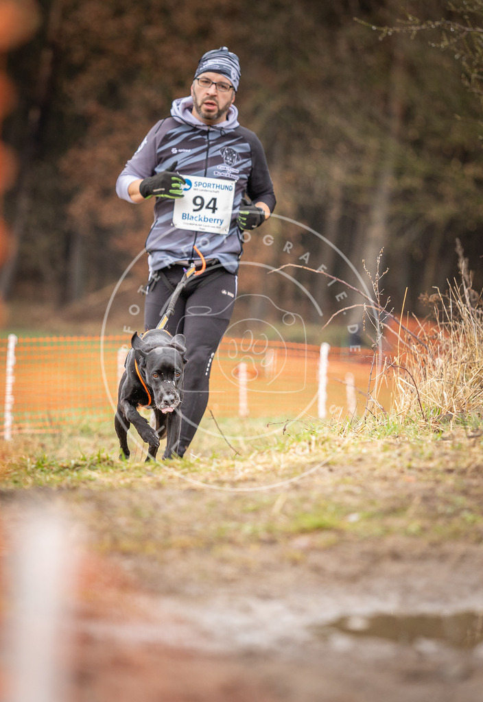 DV3A0500 | Hundefotografie, Tierfotograf, Pfotenfotografie, Fotoshooting Hund, Hunde Portrait, Hundesport, Hundeportraits, Heideshooting, Hunde, Sportfotograf, Hundefotograf, Turnierhundsport, THS,  - Realisiert mit Pictrs.com