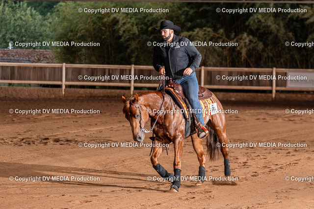 Erbach Tag 2-1238 | dv-media-shop - Realisiert mit Pictrs.com