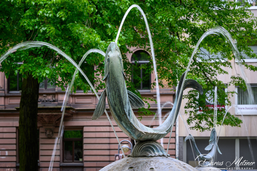 Der Fischtorbrunnen | Der Fischtorbrunnenam Fischtorplatz in Mainz
