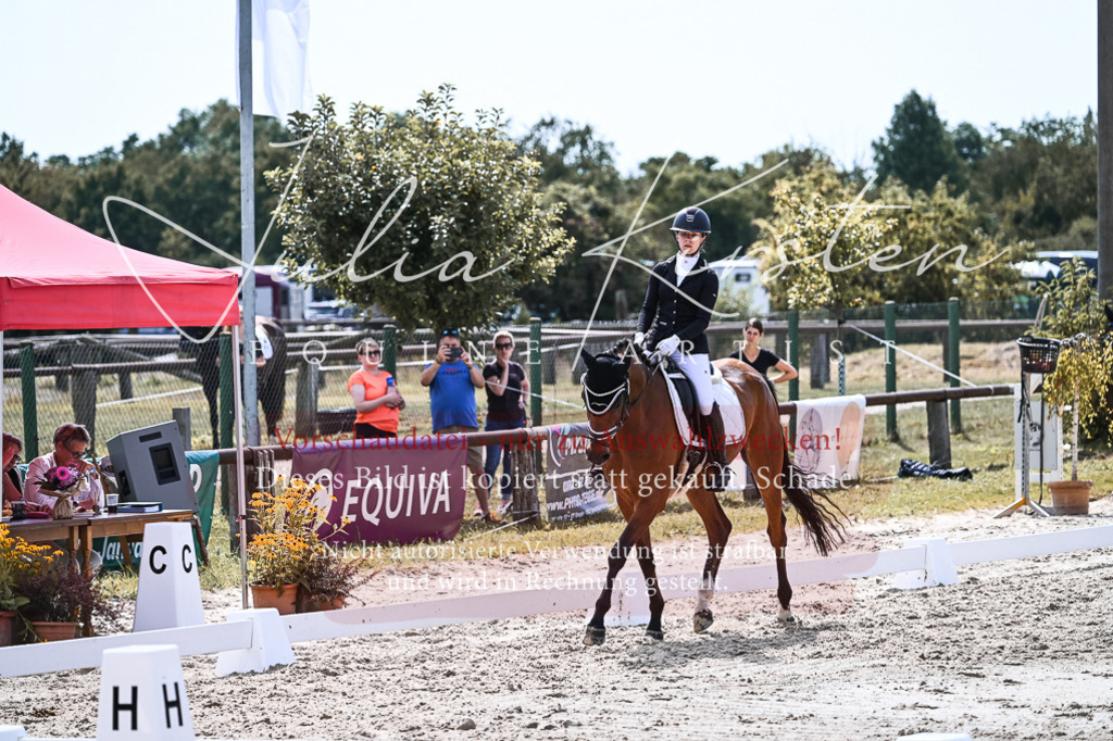 DSC_5151 | Pferde- und Turnierfotografie in Westsachsen. Pferdeportraits, Auftragszeichnungen und intuitive Kunst.