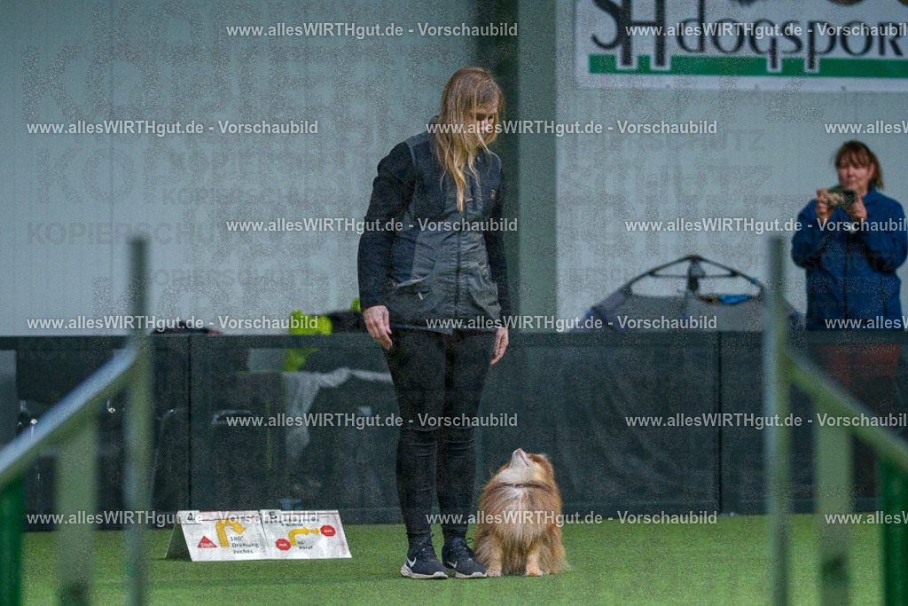 7R501776 | Professionelle Tierfotografie in Mönchengladbach von Daniel Wirth (allesWIRTHgut). Liebevolle & natürliche Bilder von Hunden & Katzen für unvergessliche Erinnerungen.