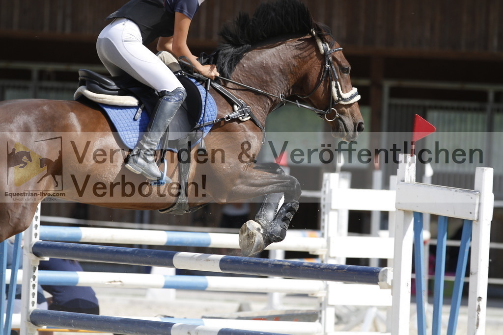 _MG_5099 | equestrian-live-com