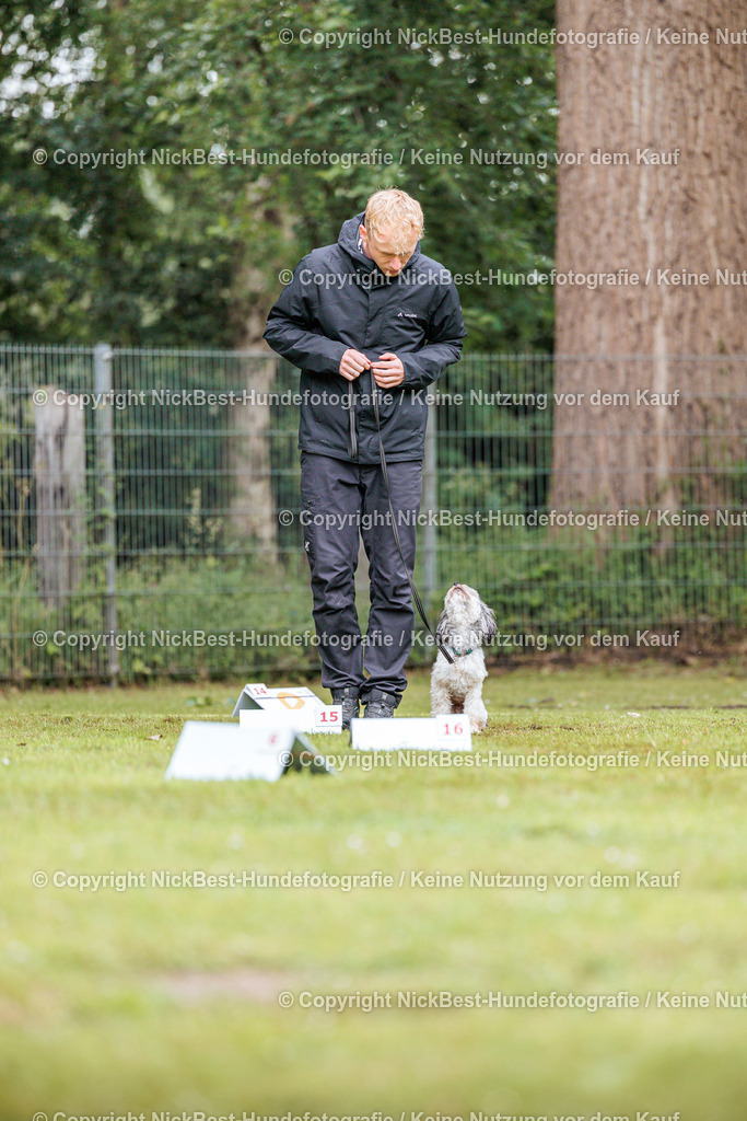 RO-Blumenthal-2026-Nickbest-Hundefotografie-4709 | Dein Hund! Dein Moment! Deine Erinnerungen! Hundefotografie in Bremen Blumenthal. Ich fange die besonderen Momente deines Vierbeiners ein – ob Indoor mit Blitzanlage oder in der freien Natur. Sicher dir dein Moment und dein Termin für eure Erinnerungen.