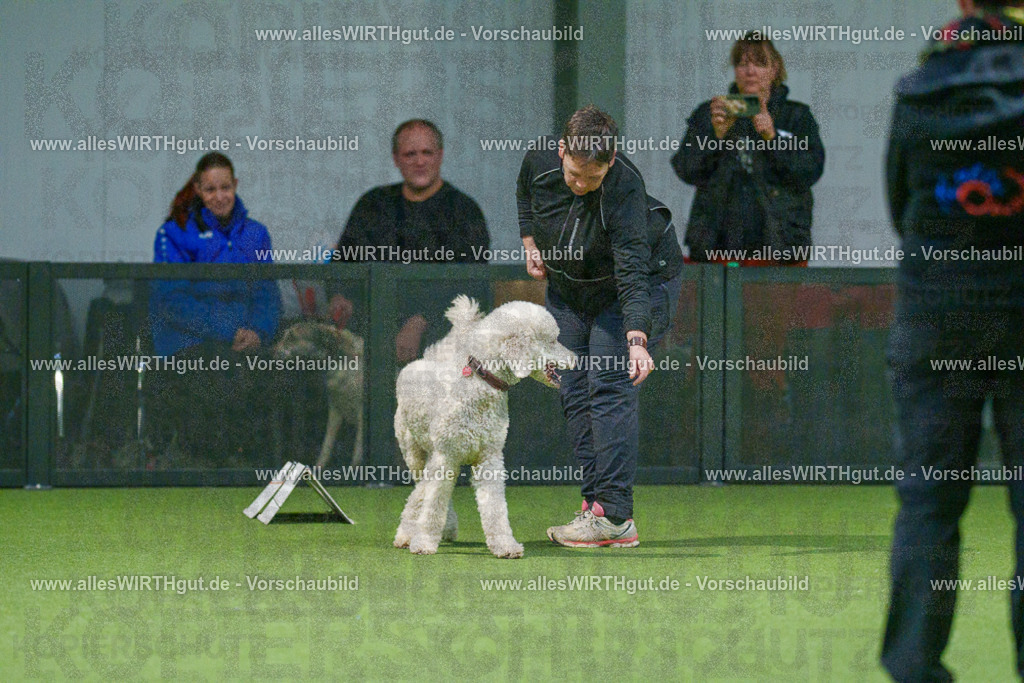 7R505542 | Professionelle Tierfotografie in Mönchengladbach von Daniel Wirth (allesWIRTHgut). Liebevolle & natürliche Bilder von Hunden & Katzen für unvergessliche Erinnerungen.