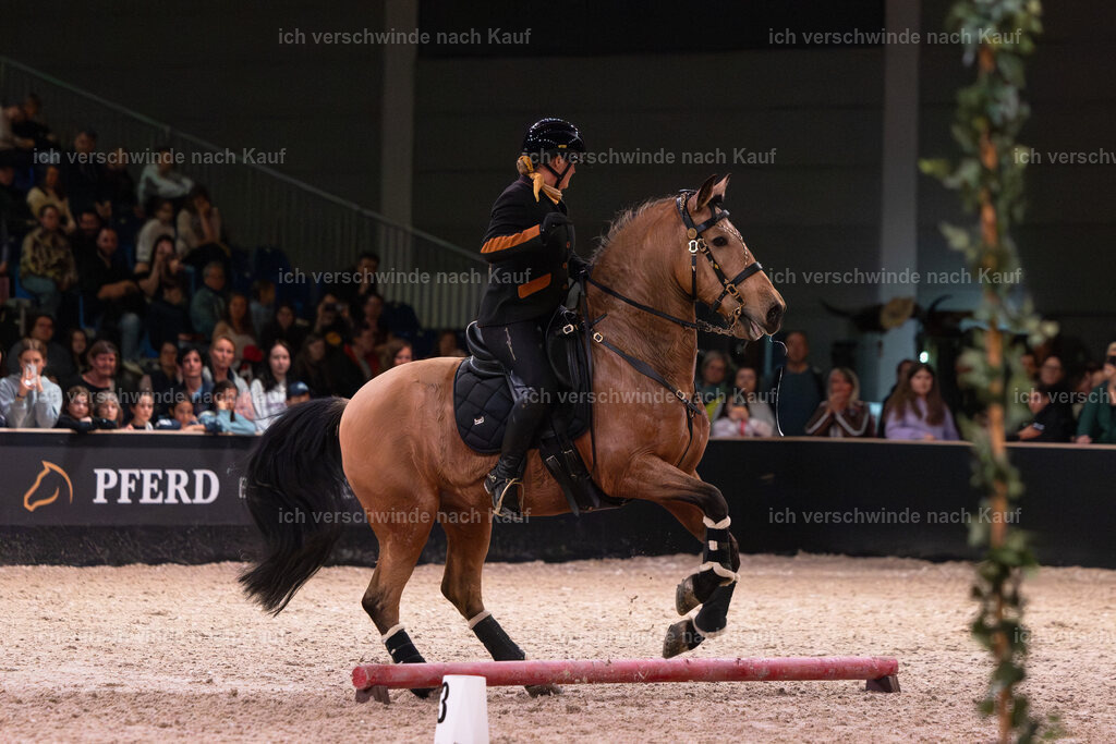 JoseraCup-211 | working equitationturnier fotograf videograf stoibphotography marixx film working equitation deutschland reitsport turnierfotografie eventfotografie equestrian events