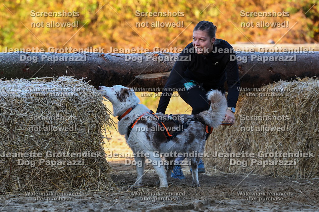 Dog Paparazzi - Strongdog 10-25-482 | Dog Paparazzi Jeanette Grottendiek Fotografie & Videografie - Realisiert mit Pictrs.com