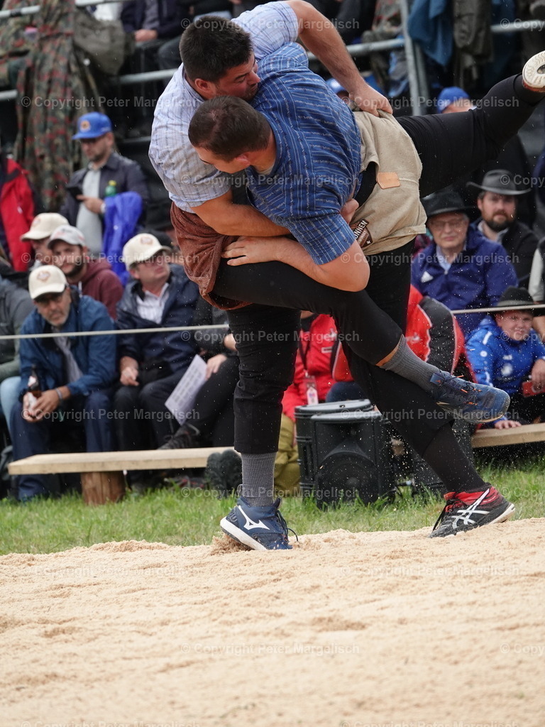 DSC05388 | Schwingen - Realisiert mit Pictrs.com