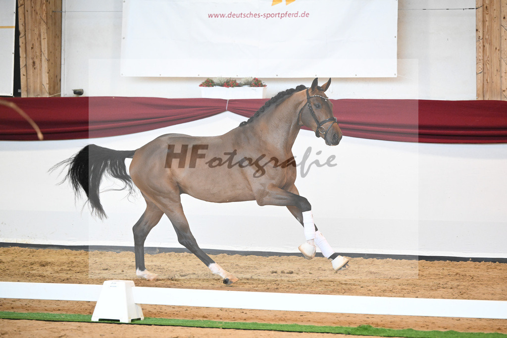 Kat-Nr. 3 v. Baron_Brors_66221594 | hf-fotografie - Realisiert mit Pictrs.com