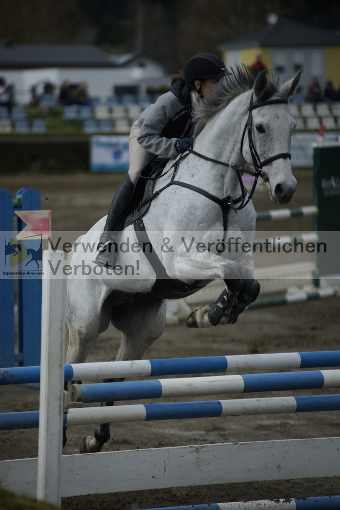 _DSC7954 | equestrian-live-com