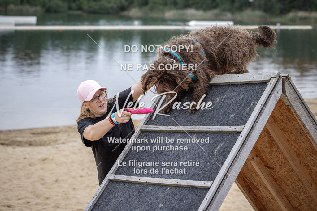 nelerasche_BuHu2026_So10-11_292 | nelerasche