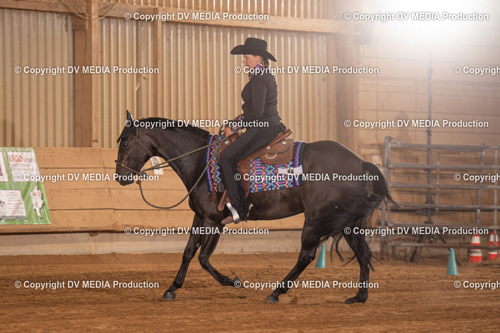 NID00900 | dv-media-shop - Realisiert mit Pictrs.com