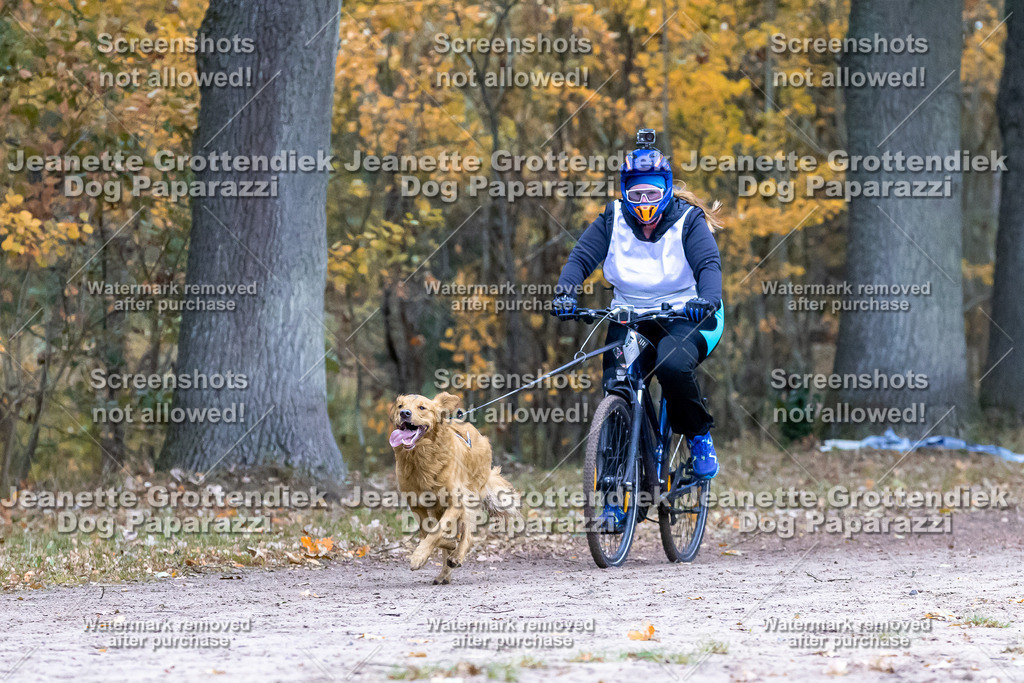 Dog Paparazzi - SD CaniX Championship 2025-267 | Dog Paparazzi Jeanette Grottendiek Fotografie & Videografie - Realisiert mit Pictrs.com