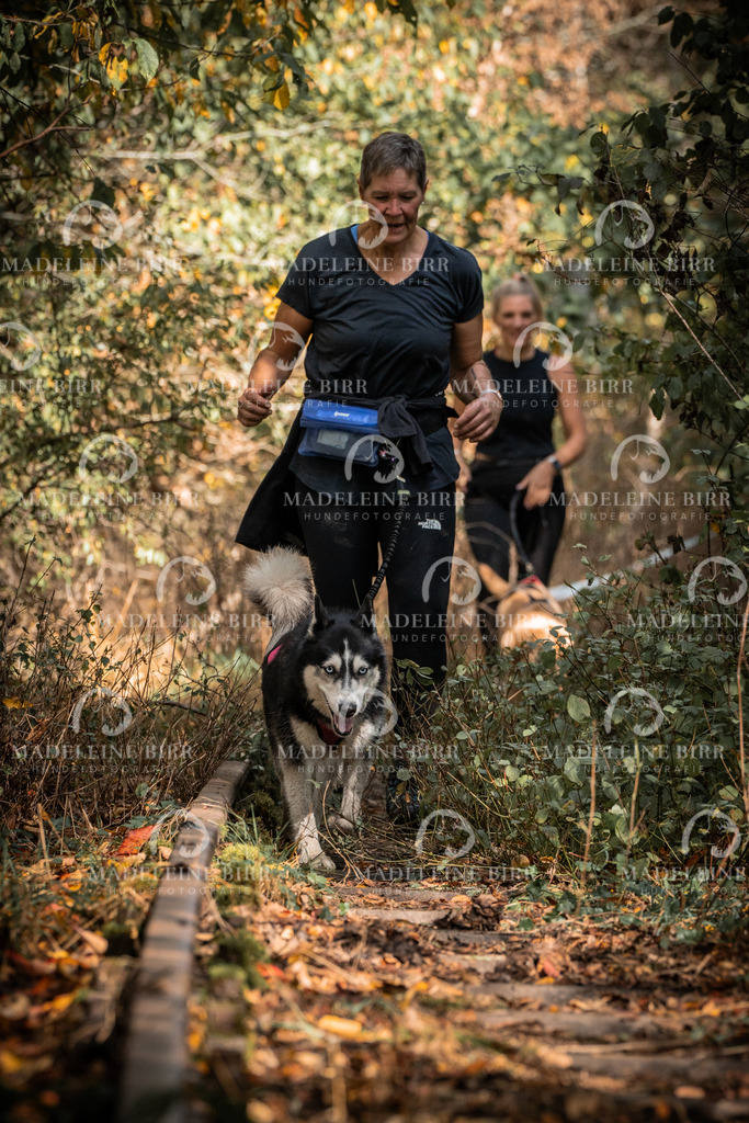 madeleinebirr.fotografie.2026.cc.hunsrueck.12-13Uhr.251 | hundefotografie-birr