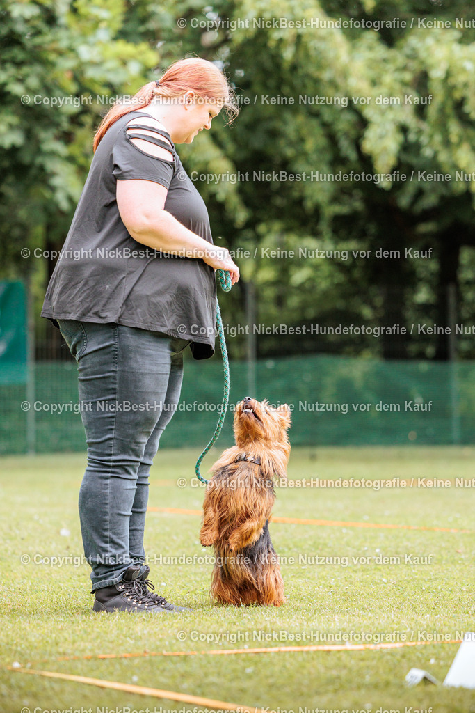 RO-Blumenthal-2026-Nickbest-Hundefotografie-2132 | Dein Hund! Dein Moment! Deine Erinnerungen! Hundefotografie in Bremen Blumenthal. Ich fange die besonderen Momente deines Vierbeiners ein – ob Indoor mit Blitzanlage oder in der freien Natur. Sicher dir dein Moment und dein Termin für eure Erinnerungen.