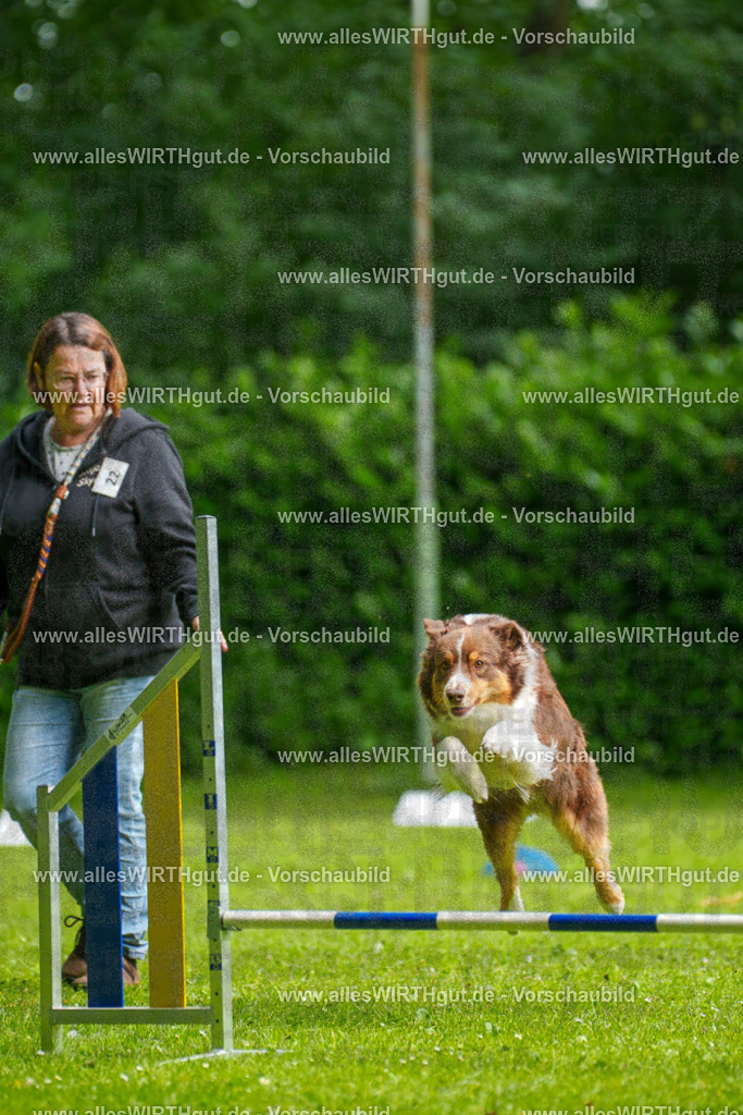 @allesWIRTHgut_Tierfotografie - www.allesWIRTHgut.de - 094438-7R507527 | Professionelle Tierfotografie in Mönchengladbach von Daniel Wirth (allesWIRTHgut). Liebevolle & natürliche Bilder von Hunden & Katzen für unvergessliche Erinnerungen.