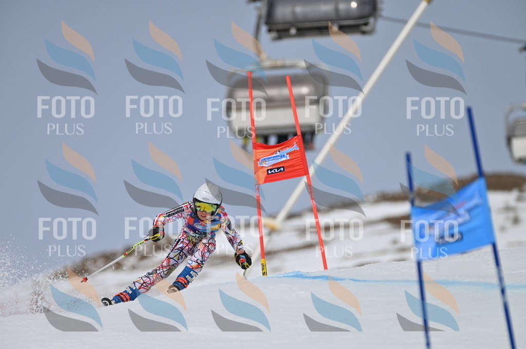 BGV_4966 | holidayphoto