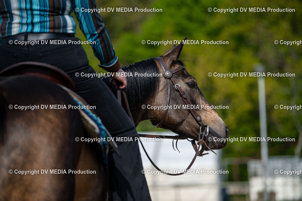 Heiligenwald Tag 2-686 | dv-media-shop - Realisiert mit Pictrs.com