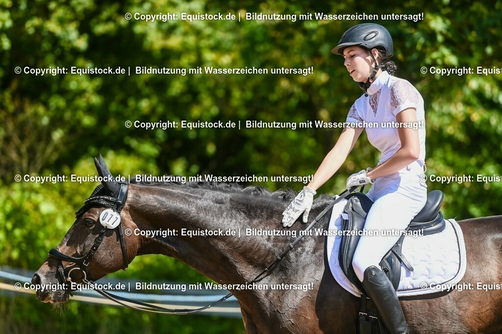 20230715_02_Dressurreiterprüfung Kl.L_0077 | equistock
