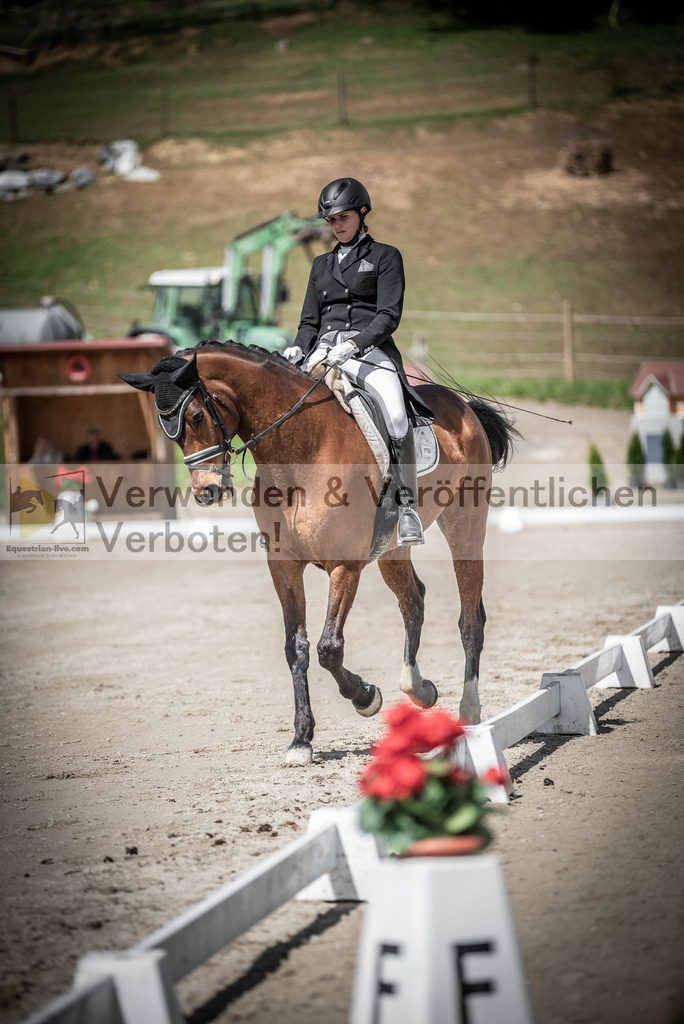 DSC_2094 | equestrian-live-com