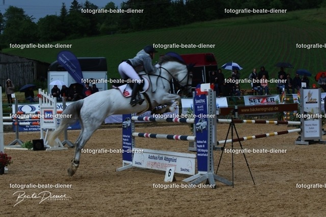 OHT2581 | Fotografie, Tiere, Hunde, Katzen, Pferde, Sportfotografie, Fotosession, Tierfotografie, Turnierfotografie, Fotografin, Fotograf - Realisiert mit Pictrs.com