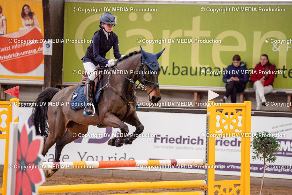 Kranichstein Tag 3-496 | dv-media-shop - Realisiert mit Pictrs.com