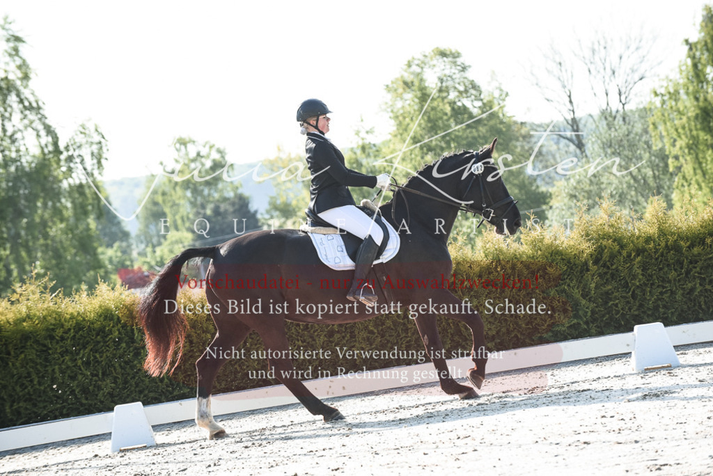 20230518_JK-Röhrsdorf-09-0661 | Pferde- und Turnierfotografie in Westsachsen. Pferdeportraits, Auftragszeichnungen und intuitive Kunst.