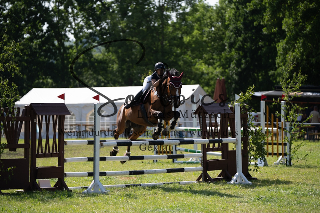 A7V06574 | Pferdefotograf