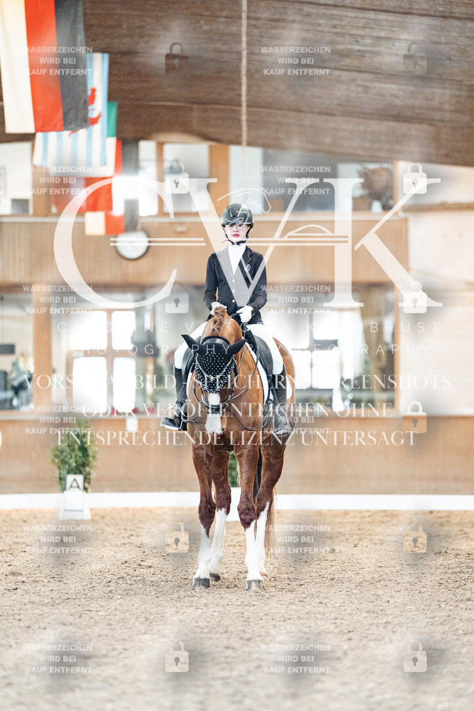 CK906782 | Turnierfotografie Pferdefotografie Trier Rheinland-Pfalz Pferdesport Reitsport Tierfotografie Sportfotografie Pferdevideo Pferdevideografie Equestrianvideography equestrianphotography  - Realized with Pictrs.com
