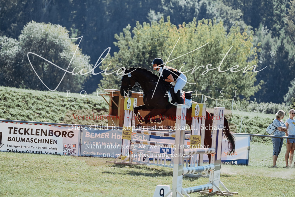 DSC_5713 | Pferde- und Turnierfotografie in Westsachsen. Pferdeportraits, Auftragszeichnungen und intuitive Kunst.