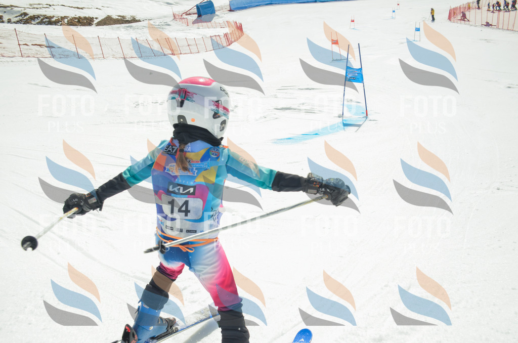 _ELE4637 | holidayphoto