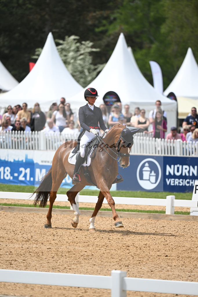 Baer_Superstar_11233775 | hf-fotografie - Realisiert mit Pictrs.com