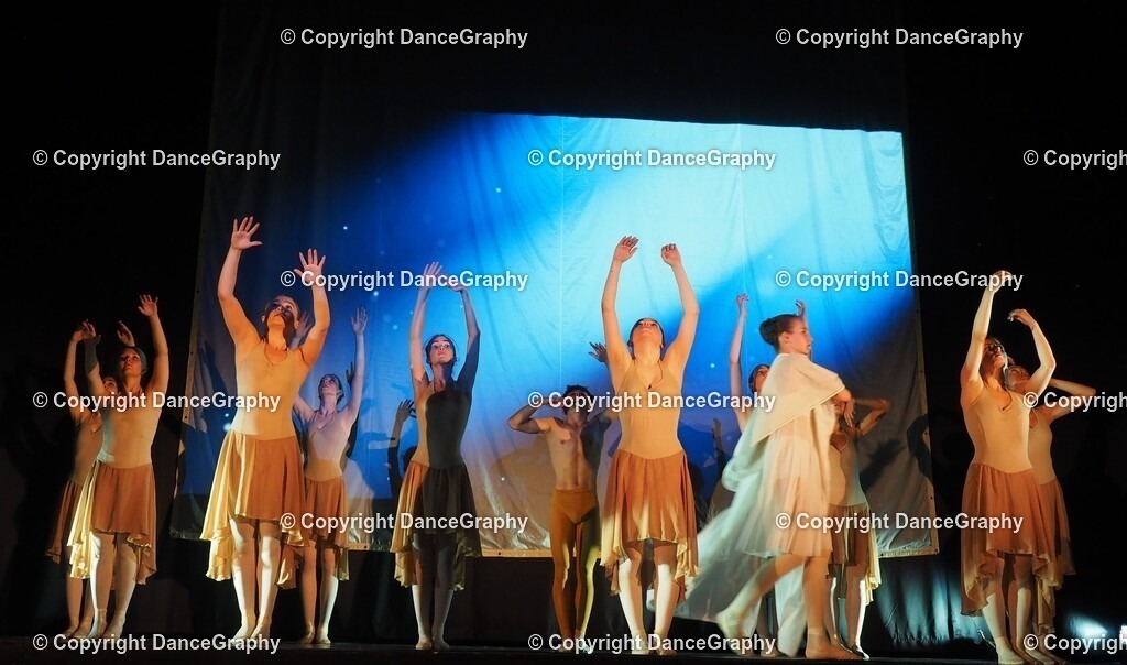 P1010991 | OLYMPUS DIGITAL CAMERA - Realisiert mit Pictrs.com