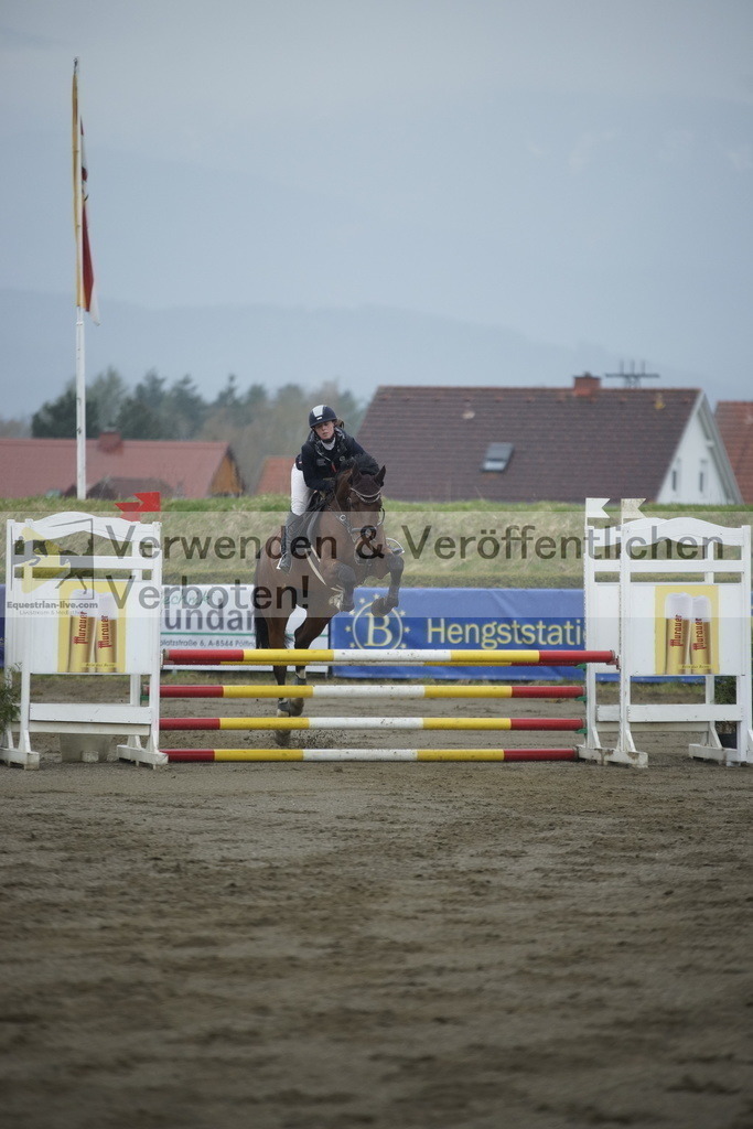 _DSC3411 | equestrian-live-com