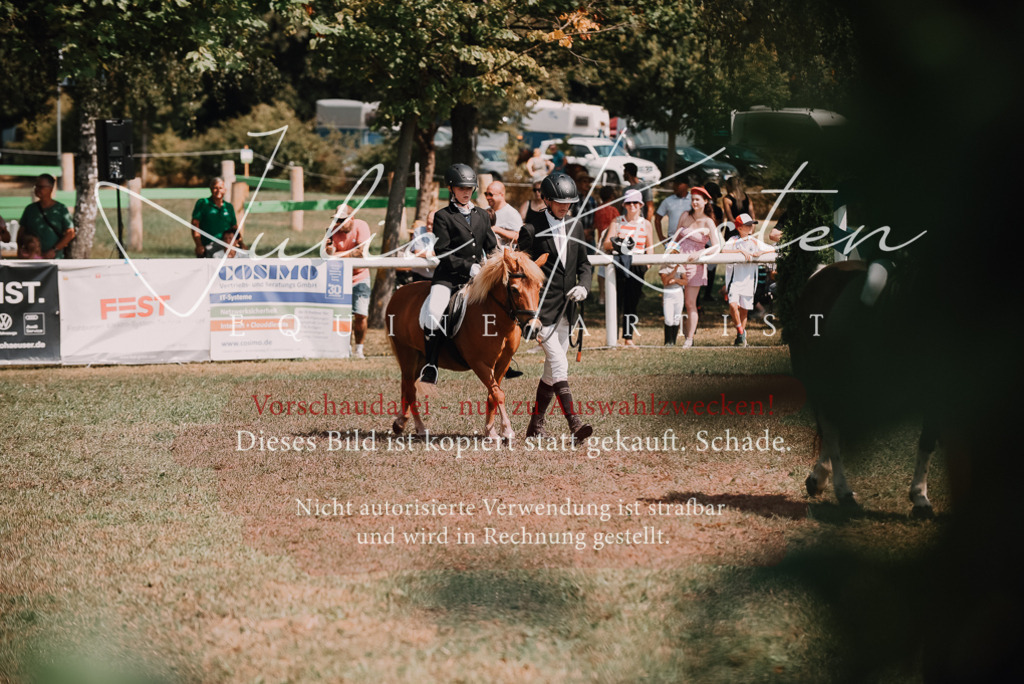DSC_6051 | Pferde- und Turnierfotografie in Westsachsen. Pferdeportraits, Auftragszeichnungen und intuitive Kunst.