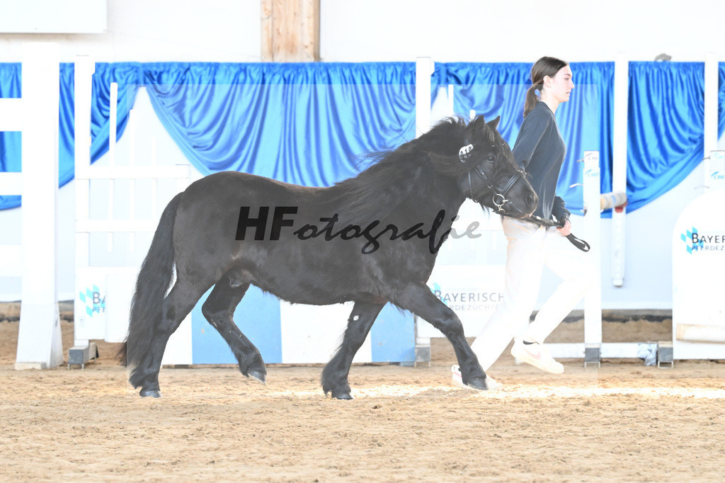 Kat-Nr. 19 Wattan von Neuhaeusler v. Wolfgang v d Roemer_Baumann_9260478 | hf-fotografie - Realisiert mit Pictrs.com