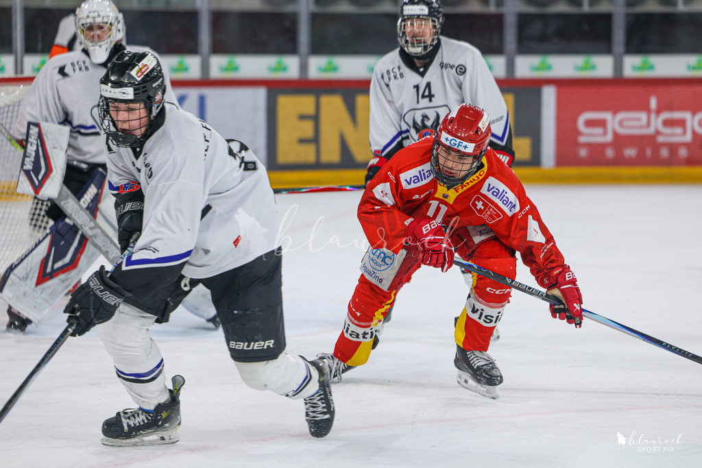 EHCB Spirit vs HCFG_wb-6926 | Sportbilder, Sportfotograf, Hochzeits- und Eventfotografin, Flugshows, Portraits und Tiershooting, Aviation, Downhill, Nationalleague, Swissleague, International