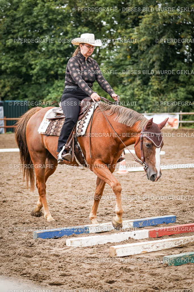 DSC04034 | Pferdegrafie