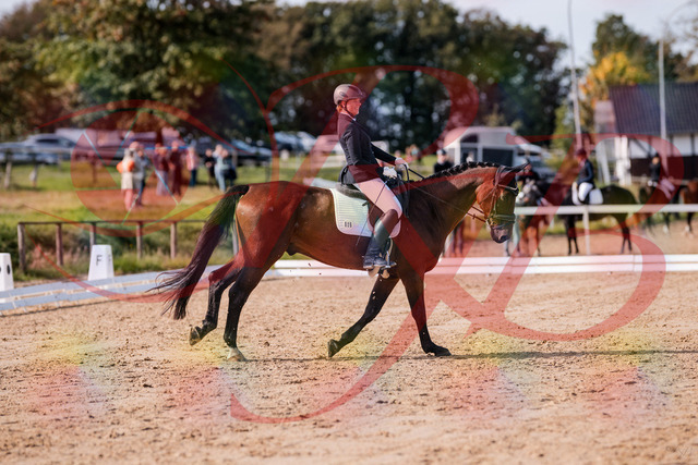 2026_10_03_Siefer-Hof_123138_Z81_30015142 | Professionelle Reitsport-, Turnier- und Eventfotografie von Robert Broda. Galerien mit ausgewählten und bearbeiteten Bildern direkt online ansehen und bestellen.