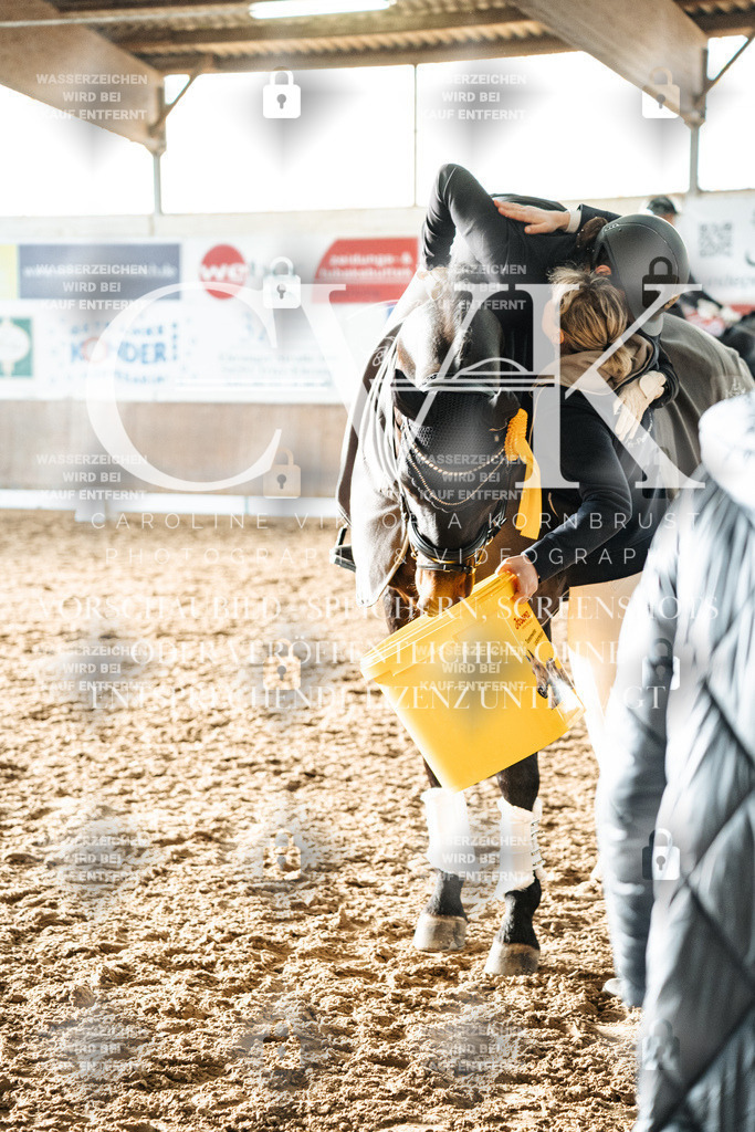 CK703148 | Turnierfotografie Pferdefotografie Trier Rheinland-Pfalz Pferdesport Reitsport Tierfotografie Sportfotografie Pferdevideo Pferdevideografie Equestrianvideography equestrianphotography  - Realisiert mit Pictrs.com
