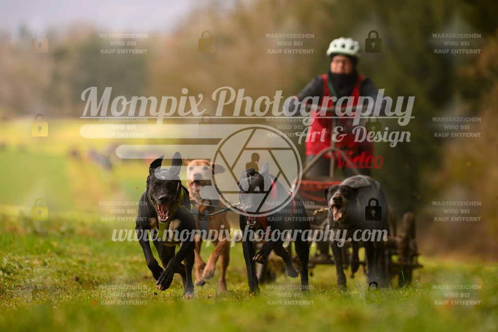 MompixPhotography_2SSTSSBW_2025_SO_Kart-8 | PayLife