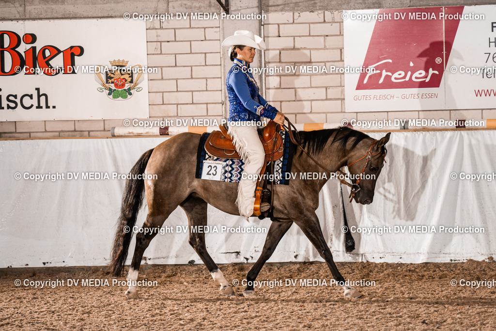 ZH300414 | dv-media-shop - Realisiert mit Pictrs.com