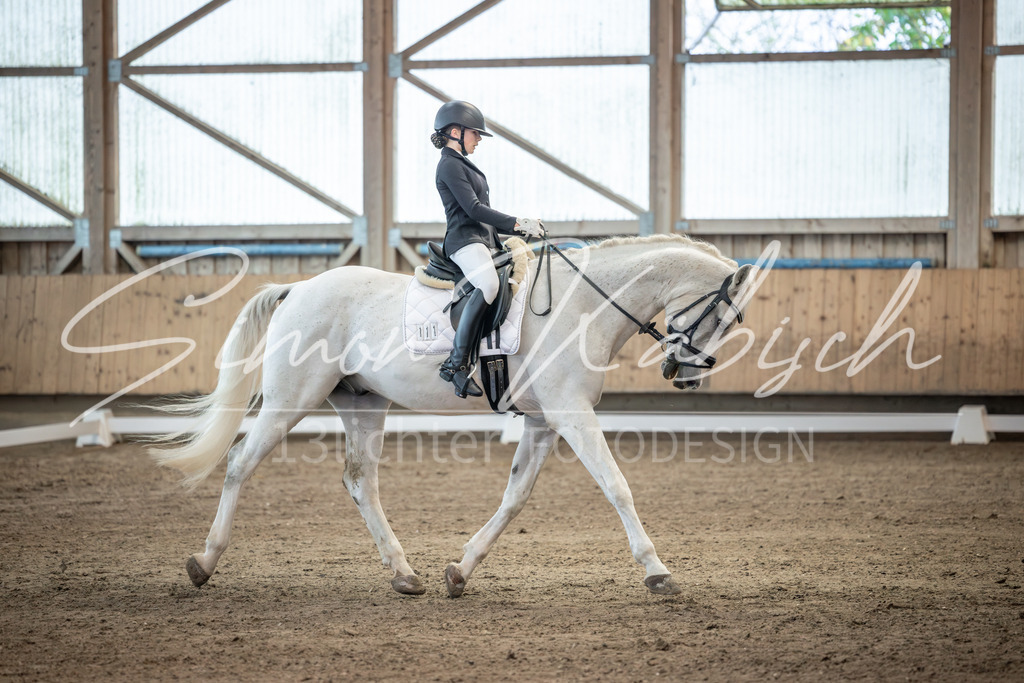 20251011-_3LI5868 | Tierfotografie Pferde, Hunde, Katzen, Haustiere.
Turnierfotografie Reitturniere, Reiten, Springreiten, Dressur in Hanau, dem Main-Kinzig-Kreis und dem Rhein-Main- Gebiet um Frankfurt