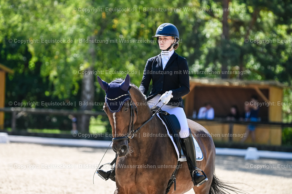 20230908_06_Dressur-L-Trense_0396 | equistock