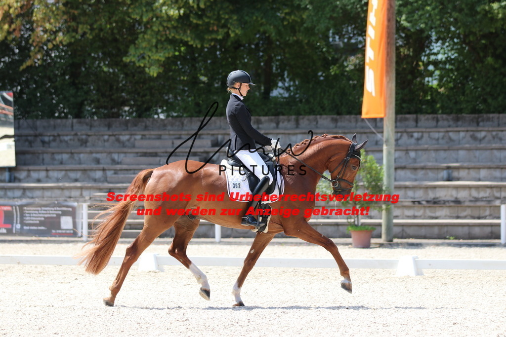 IMG_4510 | lmwpictures - Realisiert mit Pictrs.com